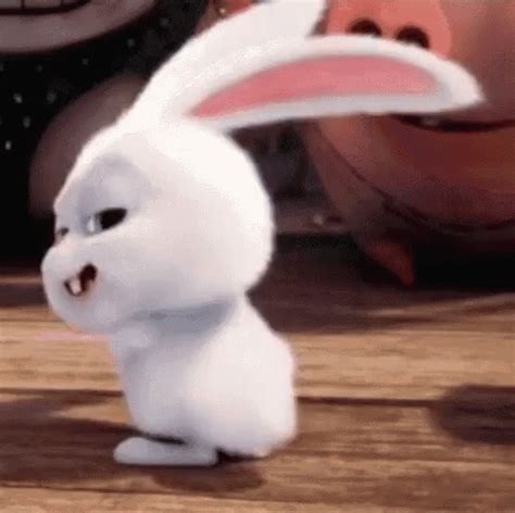 funny rabbit gif|transparent bunny gif.